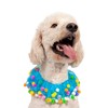 Midlee Blue Birthday Pom Pom Dog Collar (Medium)