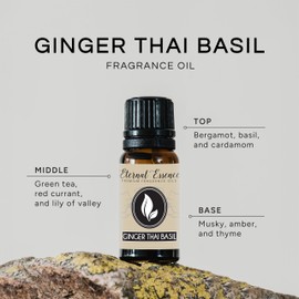 Ginger Thai Basil Premium Grade Fragrance Oil - Scented Oil - (10ml)