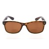 Eyekepper Classic Bifocal Sunshine Readers Bifocal Sunglasses Brown +2.00