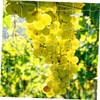 CIYODO Plant Trellis Netting Flexible Plant Support for Orchards Gardens