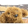 Cinnada MMTP-0248 Bean Puppy Poodle, 3.5 x 0.8 x 6.1