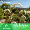 Vitabay Black Cohosh 2,500 mg - 120 Vegan Capsules -