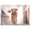 Golden Retriever Hailey Photo Calendar (Wall Calendar 2026 DIN A4