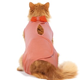DENTRUN Cat Recovery Onesie, Post Spay Surgery Vest for Female Kittens, Anti-Licking Premium Soft Vest, E-Collar Alternative for Neuter Surgical Recovery, Male Cats Apparel