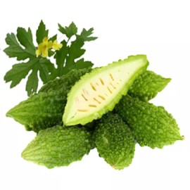 Green Garden Seeds Indian Babe Short Bitter Melon Seeds, Khổ qua rừng lùn gai. Non-GMO Heirloom - 25+
