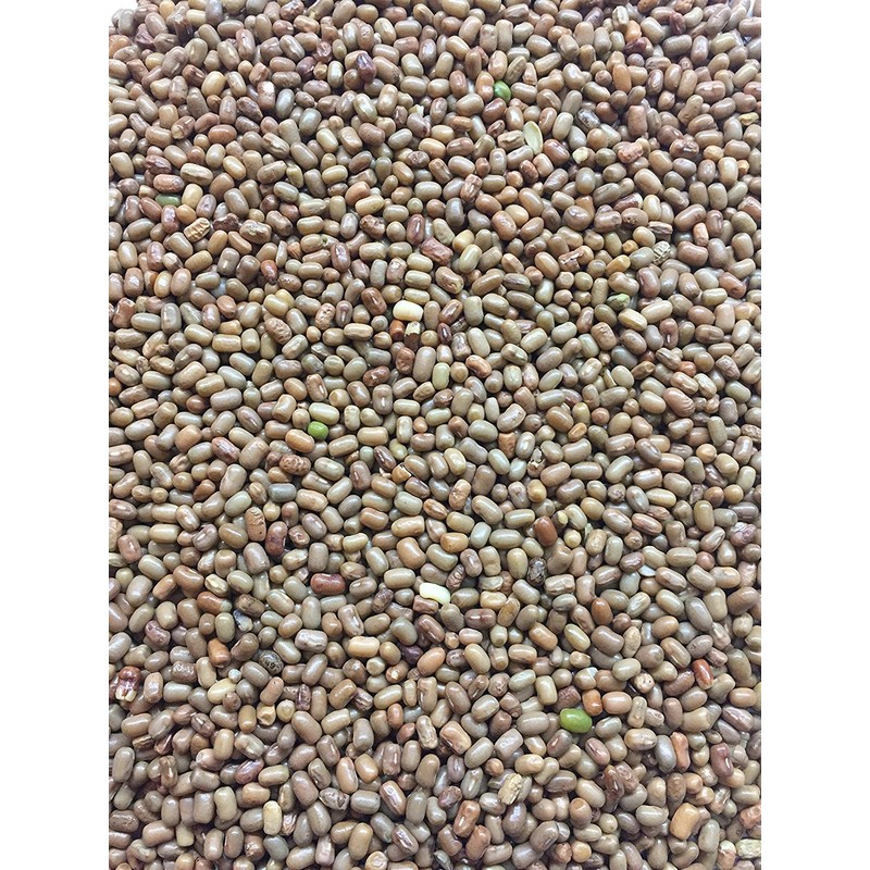 Ethnic Choice 100% Natural Moth Dal/Matki Dal/Moth Beans Whole/Turkish Gram