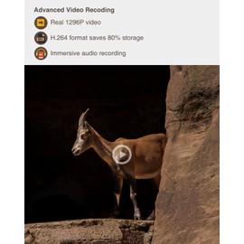 GardePro A5 Trail Camera 64MP 1296p, Game Cameras with Clear 100ft Night Vision, Advanced Sensor, Motion Activated