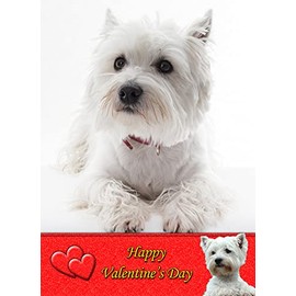 Westie/West Highland Terrier Dog Valentines Day Card