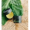 Comfrey Salve – Traditional Herbal Formula for Muscles & Joints,