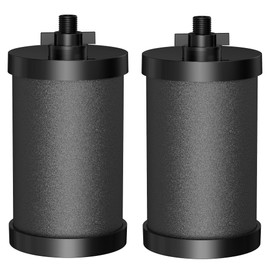 2387 Pro Black Filter, NSF/ANSI 42 Certified Replacement for Alexapure 2387 Filter, Compatible with Alexapure Water Filtration System 5000 Gallon, 2 Pack