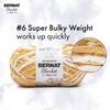 Bernat Blanket Tie Dye-Ish Golden Rays Yarn - 2 Pack
