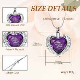 Minicremation Cremation Jewelry for Ashes Pendant - Crystal Heart Urn Necklace with Mini Keepsake Urn Memorial Ash Jewelry