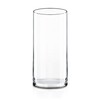 CYS Excel Clear Glass Cylinder Vase (H:9" D:4") Flower Vase