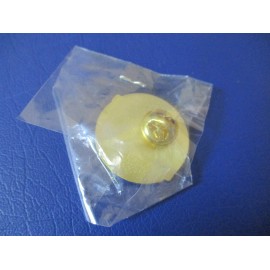 Detroit Tigers 1968 World Champions Sock it to em Tigers Lapel Hat Pin *