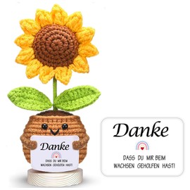 kiimiipa Positive Potato Lucky Charm, Gifts for Women Men, Gift for Girlfriend, Pocket Hug, Positive Gifts, Funny Gifts, Room Office Decorations, Cute Dolls (Sunflower2)