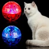 Unbranded 2 Pcs Cat Ball Ghost Hunting Light up Toys