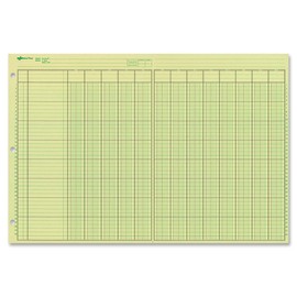 National Analysis Pad, 13 Columns, Green Eye-Ease Paper, Numbered Lines, Side-Punched, 11" x 16.375", 50 Sheets (45613)