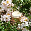 The Bee Fairy Natural Beeswax Cleansing Balm