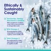 Pure Omega 3 Fish Oil for Dogs, Wild Caught from