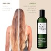 Lazartigue Extra-Gentle Shampoo For Women 8.4 oz Shampoo