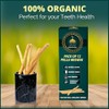 Paquete de 12 palitos de Miswak para dientes con soporte