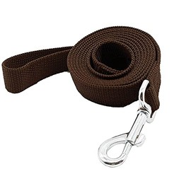 Strong Nylon Dog Leash, for Medium Large Dogs Walking, Training or Exploring, 10 feet Long 1 inch Wide