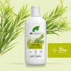 Do Acondicionador Árbol De Té 265ml
