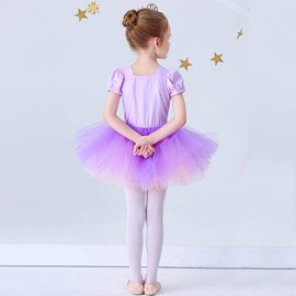 Dressy Daisy Princess Ballet Tutu Dress Fancy Dance Wear Ballerina Costume Outfit Dancewear with Accessories for Toddler Girls Size 3T to 4T Purple 074