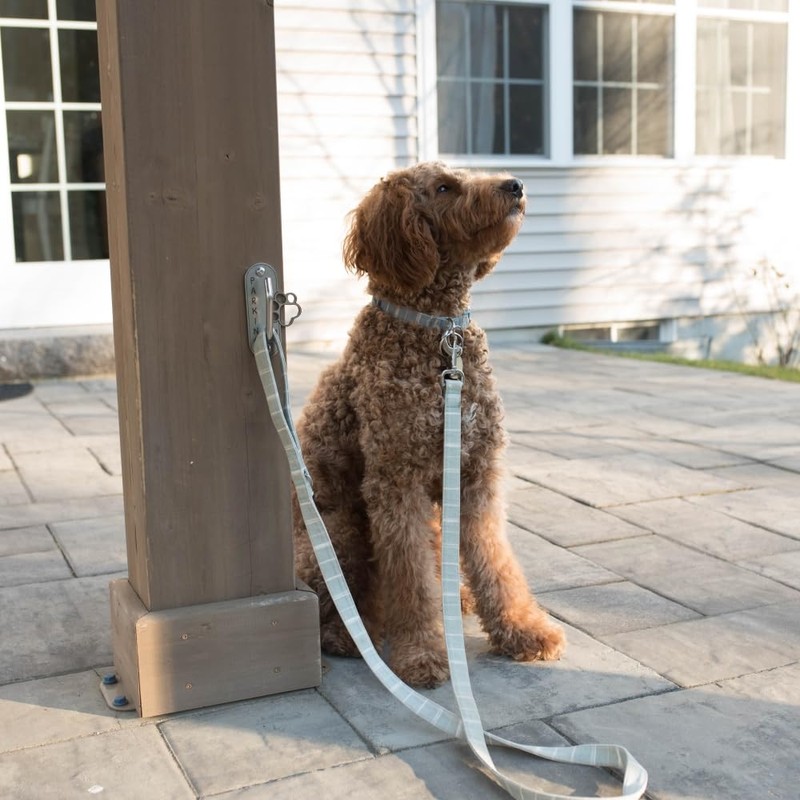 Dog Leash Hitch Parking Hook Heavy Duty Wall-Mount Stainless Steel