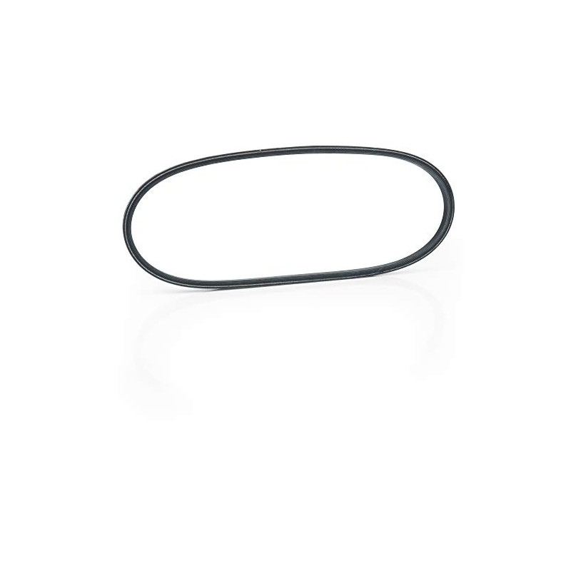 EZGO Starter Generator Belt (2008-Up) Gas Rxv/Txt Golf Cart |