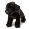 Douglas Brewster Black Lab Dog Plush Stuffed Animal