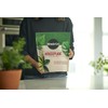 Miracle-Gro Houseplant Potting Mix - Fertilized Soil, Designed to be