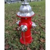 SHGYIBRISK Fire Hydrant for Dogs to Pee On: Dog Fire