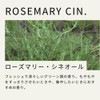 Tree of Life Rosemary Cineol Essential Oil 50ml Aroma Oil