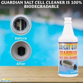 Pool Salt Cell Cleaner – Biodegradable Descaling Solution for Saltwater Pools | Removes Calcium, Scale & Buildup | Improves Water Clarity | Non-Corrosive & Eco-Friendly
