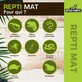Reptiles Planet Heat Mat for Reptile Matt 14 W 28 x 28 cm