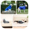 HezzLuv Dog Drying Coat with Dinosaur Horn, Microfiber Quick Drying