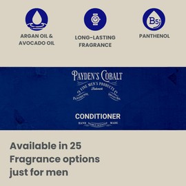 Black Canyon Home and Body Payden's Cobalt Santa's Pipe For Men Scented Argan Oil Hair Conditioner, 16 Oz (2 Pack)