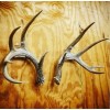 Acrylic Invisible Shed Antler Wall Mount Display