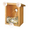 Home and Co Observoiseaux Bird House for Windows, Clear Tinted
