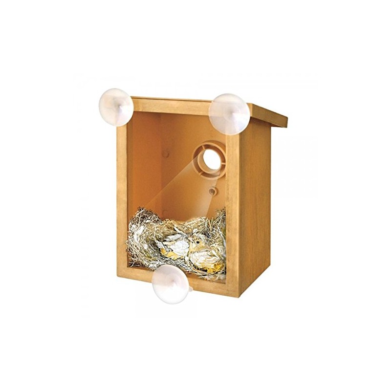 Home and Co Observoiseaux Bird House for Windows, Clear Tinted