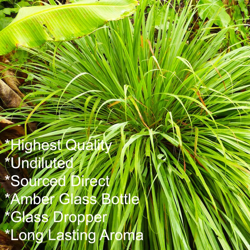 Feelia - Lemongrass Essential Oil - 100% Pure & Natural,