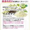 レプゲドック（180粒入）ケルセチン500mg 配合 サプリ 亜鉛 ビタミンC ビタミンD3 オールインワン 健康維持 国内製