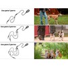 Correa de Paseo Triple y Extensible para Perros – Sistema