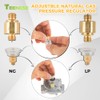 TEENGSE 1/2" Natural Gas and Liquefied Interchange Pressure Regulator, Natural