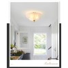 ANYLOVE Modern 12Inch Frosted Glass Flower Glass Semi Flush Mount