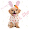 Bcxfbxd 2Pcs Easter Dog Costume Accessories Bunny Ears Headband Carrot