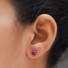 Heart & Round Cut Simulated Ruby Paw Print Stud Earrings
