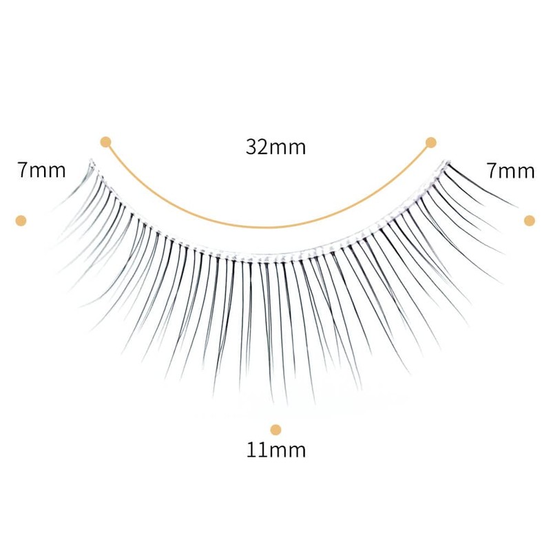 Musegetes False Eyelashes 4D Clear Band False Eyelashes Natural False