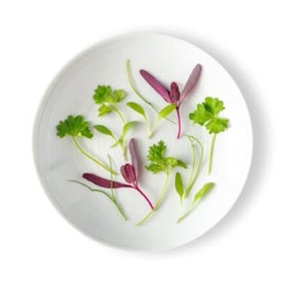 Fresh Origins-Micro Greens, Fines Herb Mix, 12 oz (4 packs of 3 oz each), French Herb Blend, Licorice and Chive Flavors, Hand-Picked